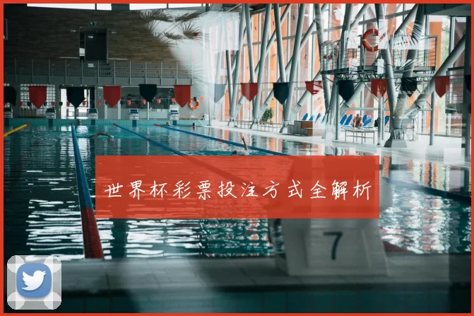 世界杯彩票投注方式全解析