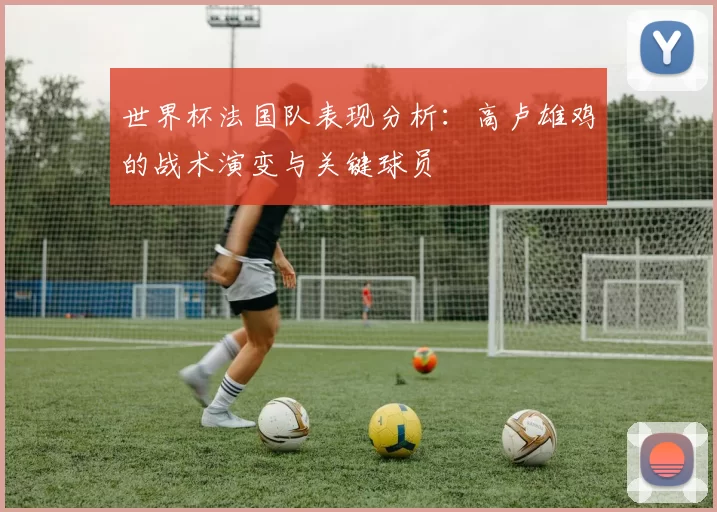 世界杯法国队表现分析:高卢雄鸡的战术演变与关键球员
