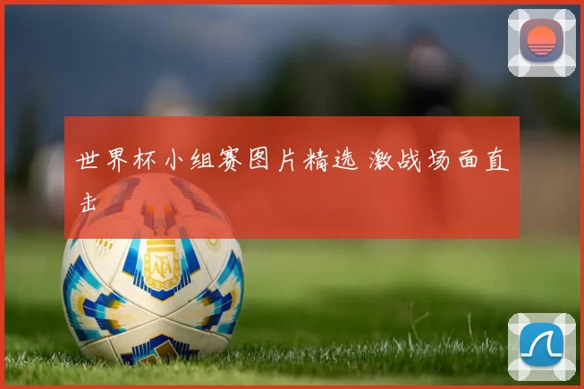 世界杯小组赛图片精选 激战场面直击