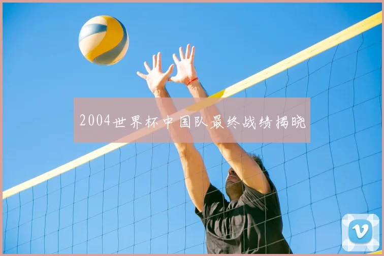 2004世界杯中国队最终战绩揭晓
