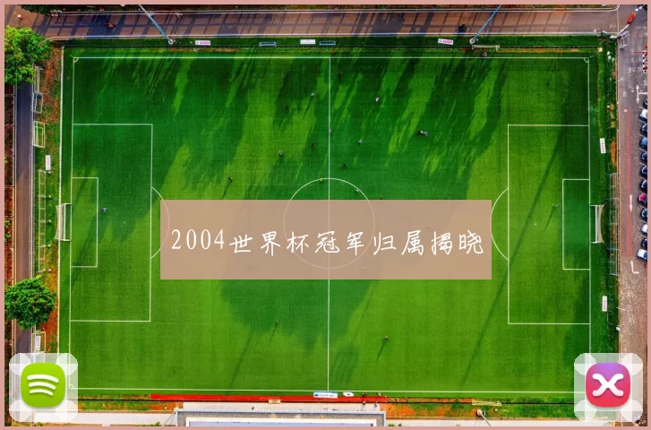 2004世界杯冠军归属揭晓