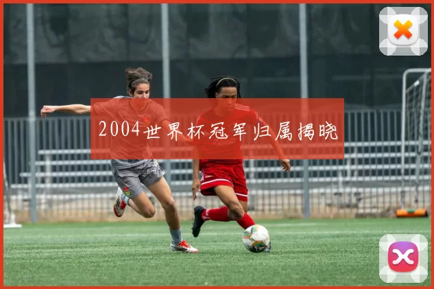 2004世界杯冠军归属揭晓