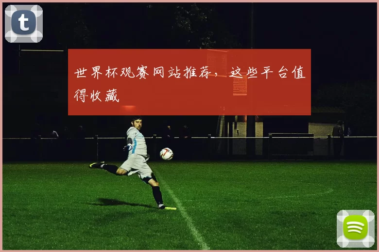 世界杯观赛网站推荐,这些平台值得收藏