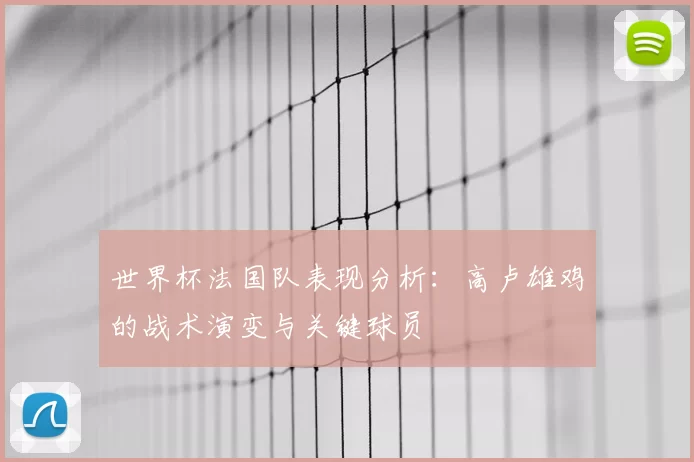 世界杯法国队表现分析:高卢雄鸡的战术演变与关键球员