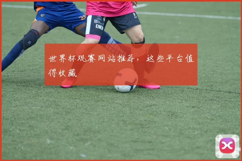 世界杯观赛网站推荐，这些平台值得收藏