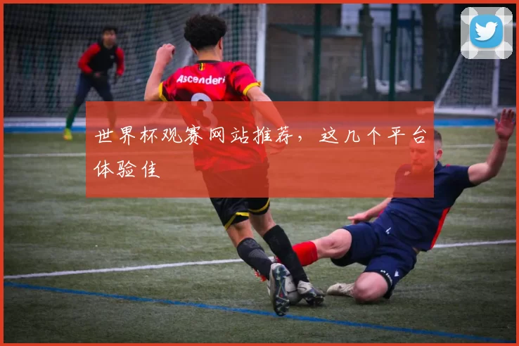 世界杯观赛网站推荐,这几个平台体验佳