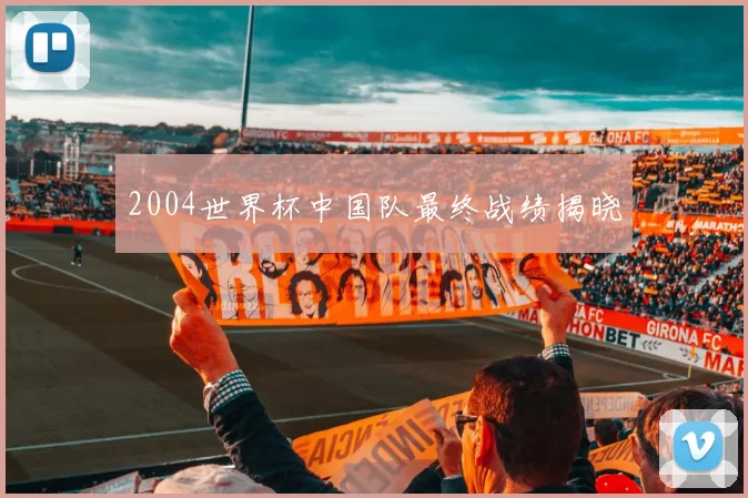 2004世界杯中国队最终战绩揭晓