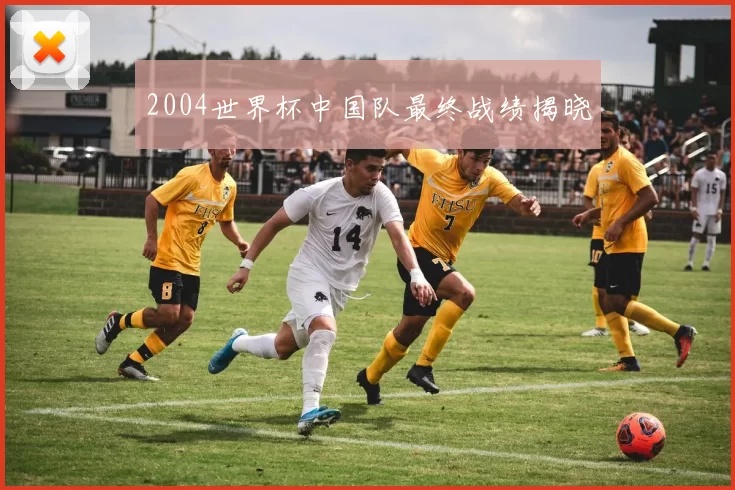 2004世界杯中国队最终战绩揭晓